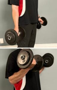 Dumbbell Curl