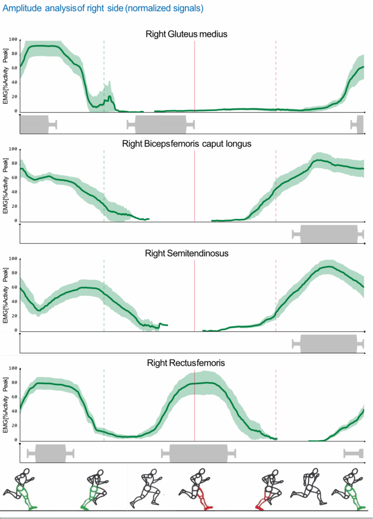 A chart illustrating the muscle activation and normative values of the right gluteus medius, biceps femoris, semitendinosus and rectus femoris.